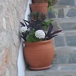 Agnanti