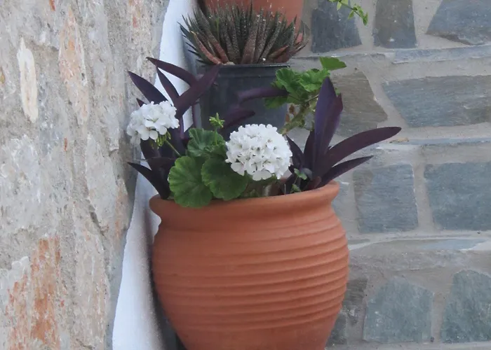 Agnanti