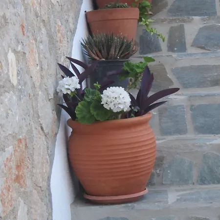 Agnanti